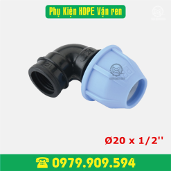Co ren trong HDPE vặn ren Φ20x1/2''