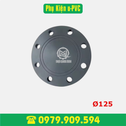 Bích mù PVC D125